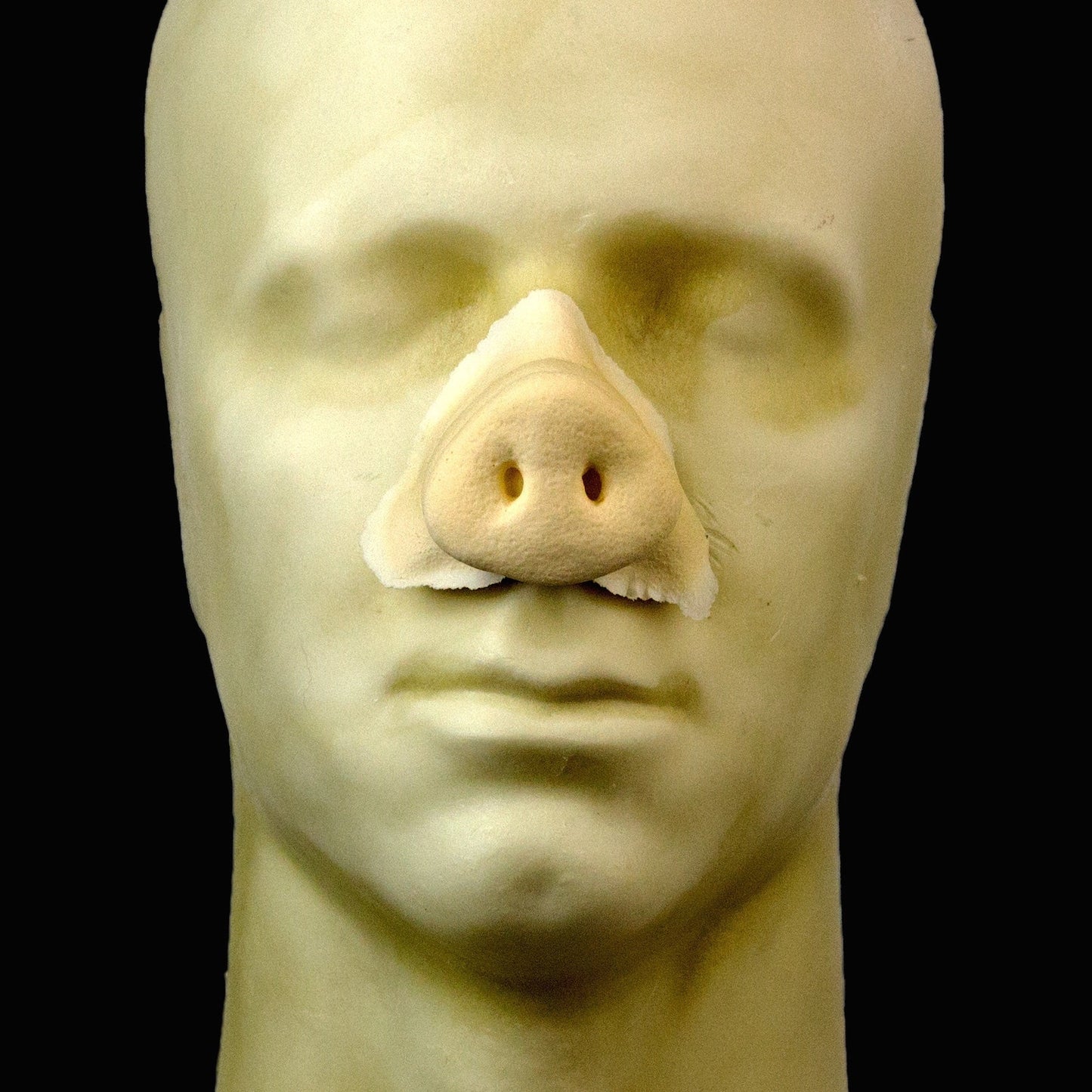 Rubber Wear- Pig Nose